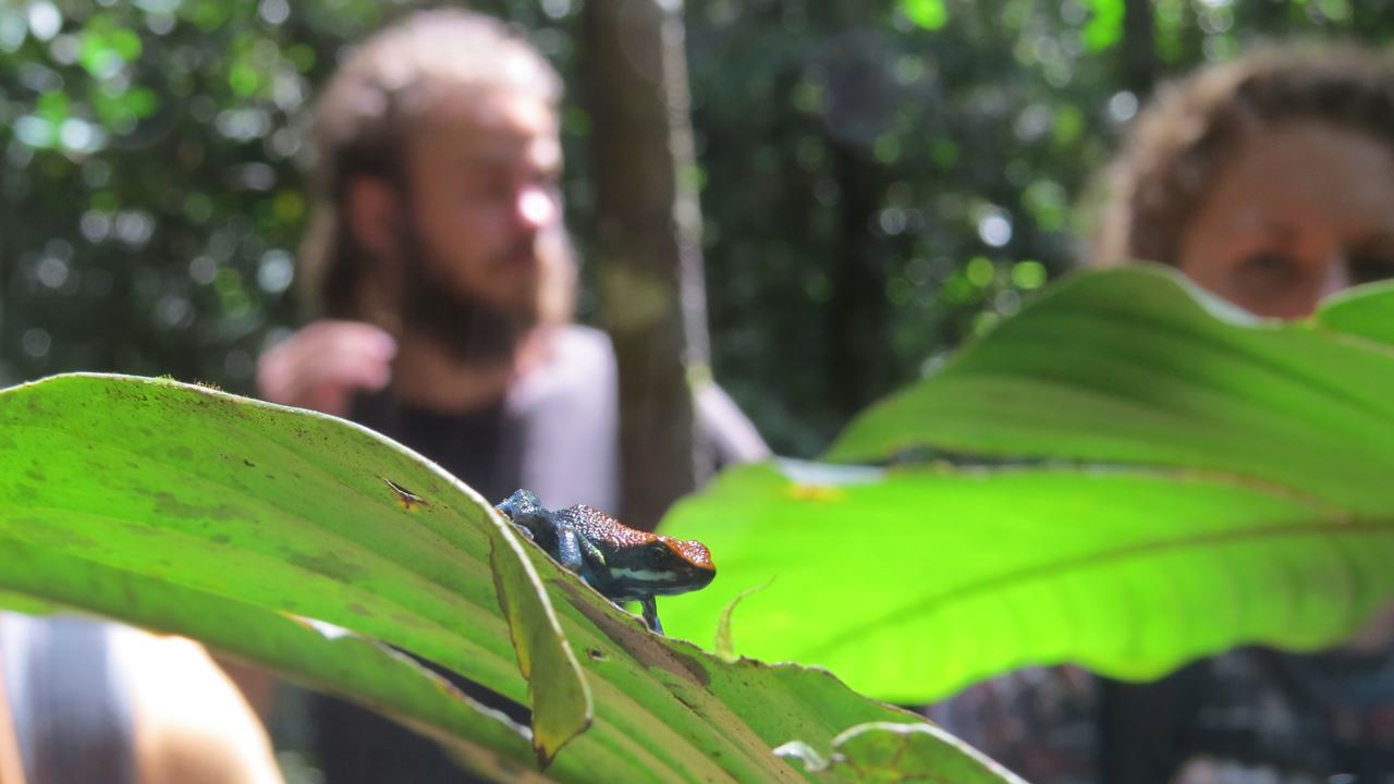 CUYABENO ADVENTURE 4 DAYS (11)