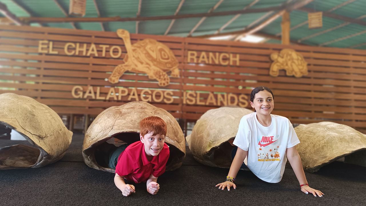 De Baltra à Puerto Ayora : Transfert avec Turtle Ranch et Lava Tunnels (6)