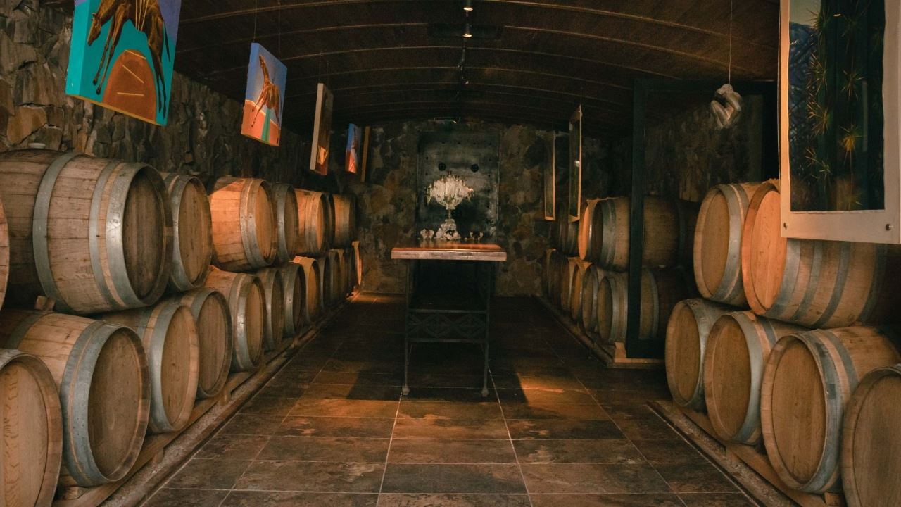 VISITA Y DEGUSTACIÓN DE VINOS EN BODEGA CASA VIGIL (7)
