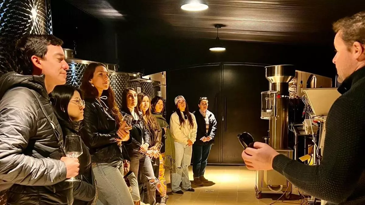Dégustation De Vin Et Déjeuner Au Fripp Winery