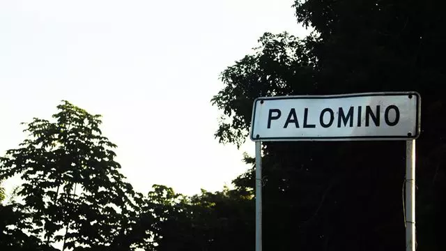 Descubra A Excursão De Dia Inteiro Em Palomino