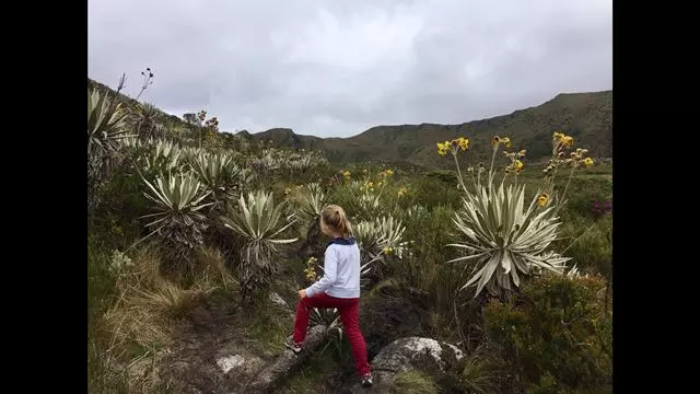 Ökotour Zum Chingaza-Nationalpark