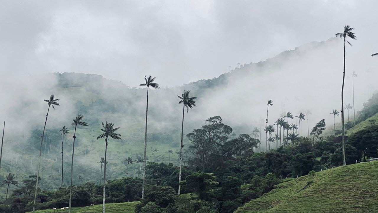 Eixo Café Essencial (4)