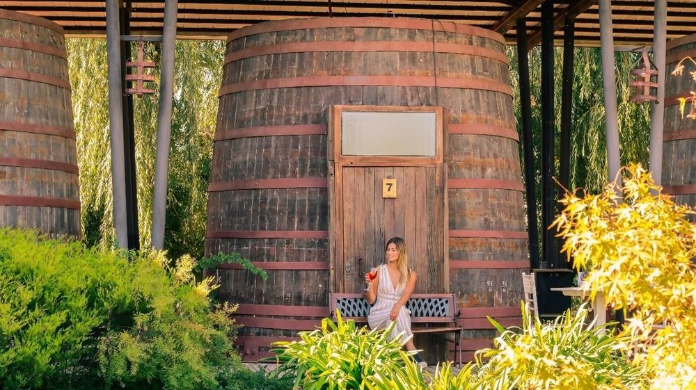 Escapade Vinique Au Cœur De Colchagua