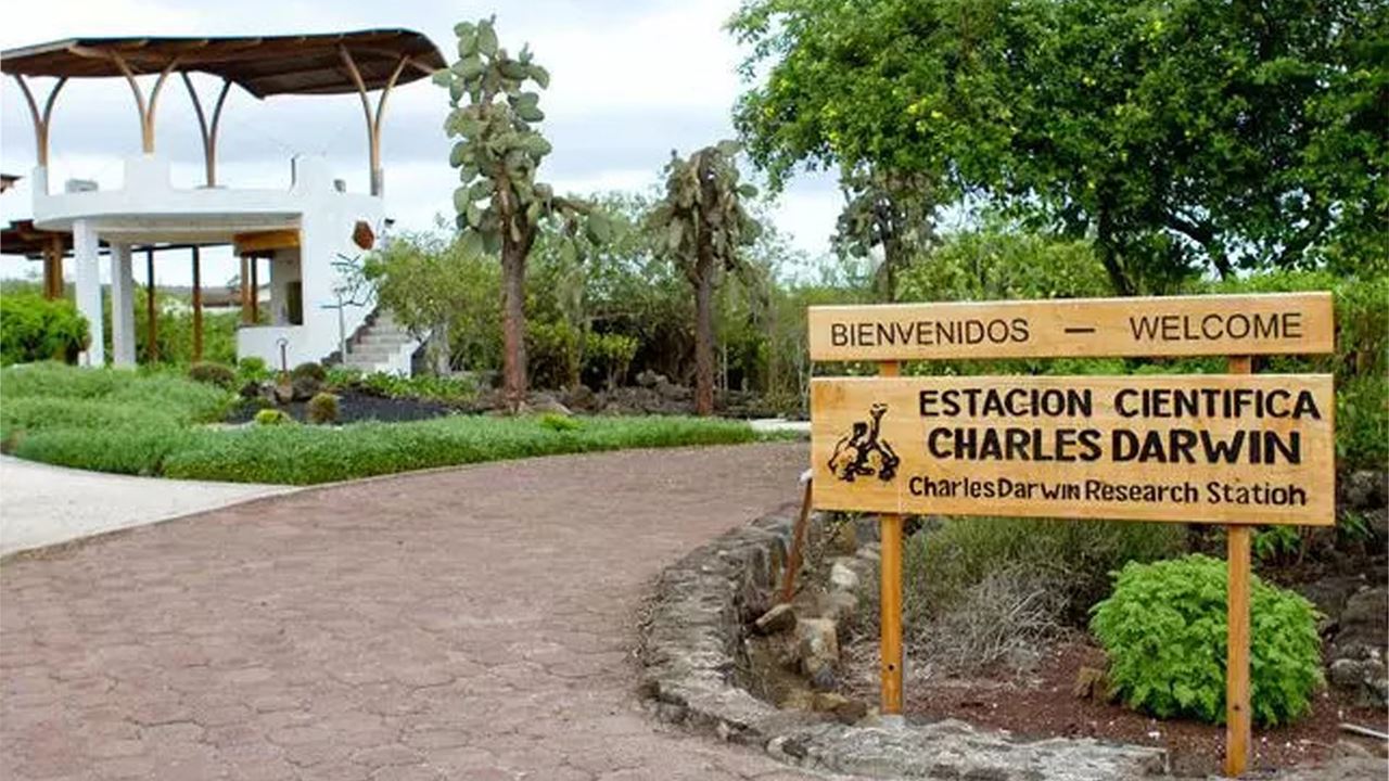 Estación Charles Darwin: El Corazón Científico De Galápagos foto 3