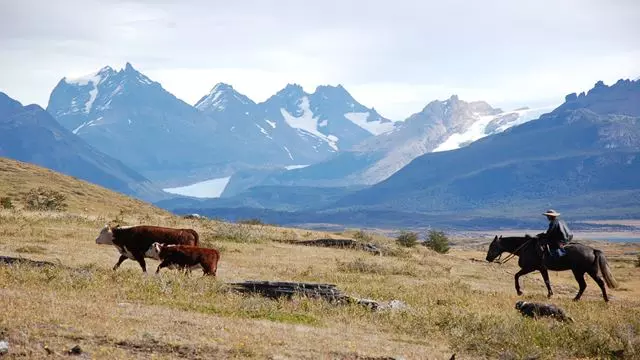 Tag Auf Dem Land - Estancia Nibepo Aike Mit Reiten