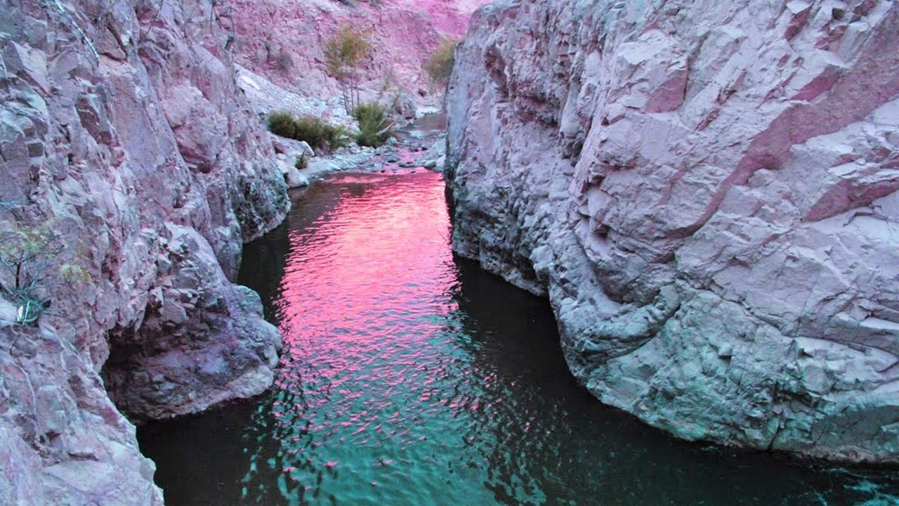Excursão Ao Oásis De Codpa, Guañacagua E Petroglifos De Ofrajía foto 7