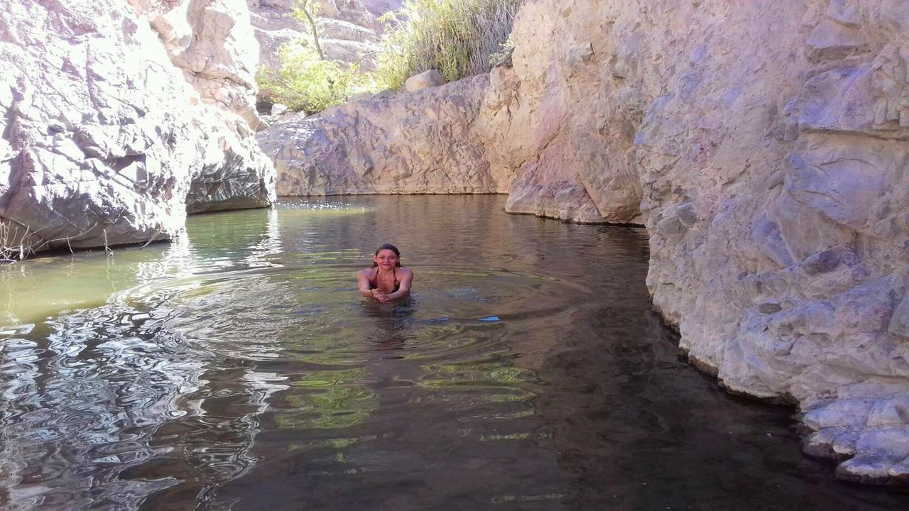Excursão Ao Oásis De Codpa, Guañacagua E Petroglifos De Ofrajía foto 8