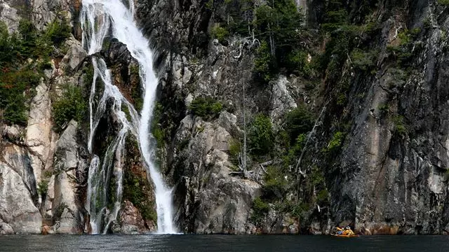 Full Day Kayaking Along The Tristeza Arm