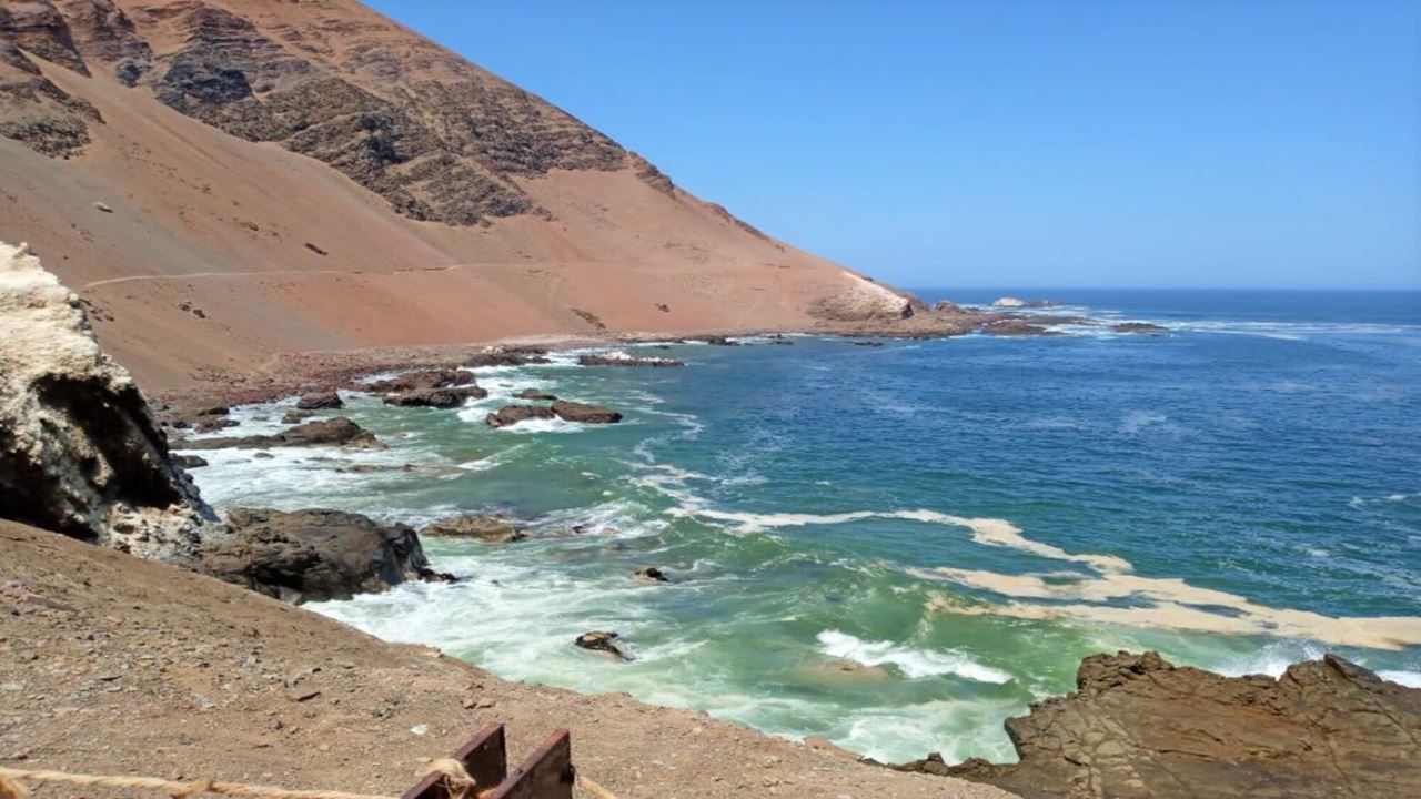 Excursão Às Praias, Grutas E Pictografias De Arica
 foto 6