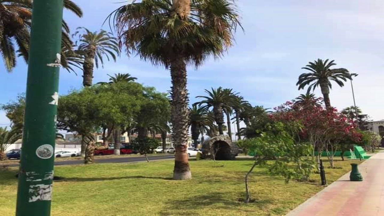 Excursão Às Praias, Grutas E Pictografias De Arica
 foto 8