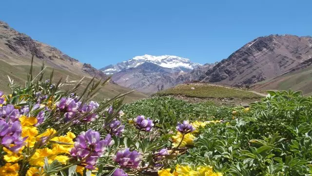 Excursão Privada De Alta Montanha