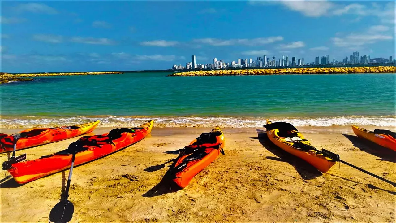 Excursion En Kayak À Punta Arena