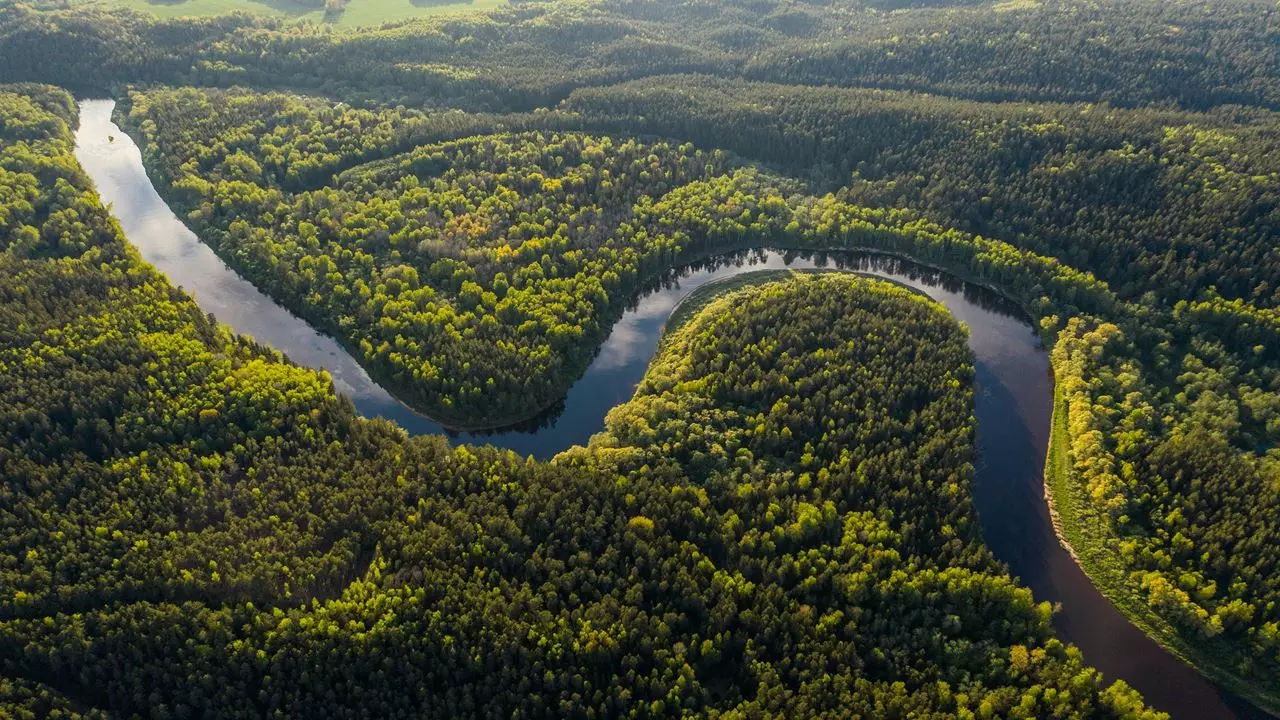 Safari En Amazonie : Trois Pays, Une Jungle Sauvage