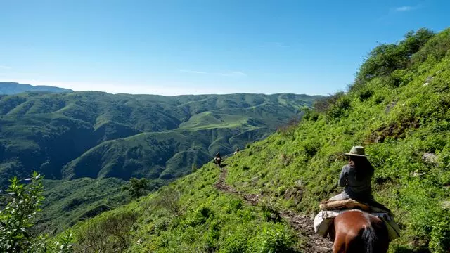 Experiência De Cavalo Em Tucumán