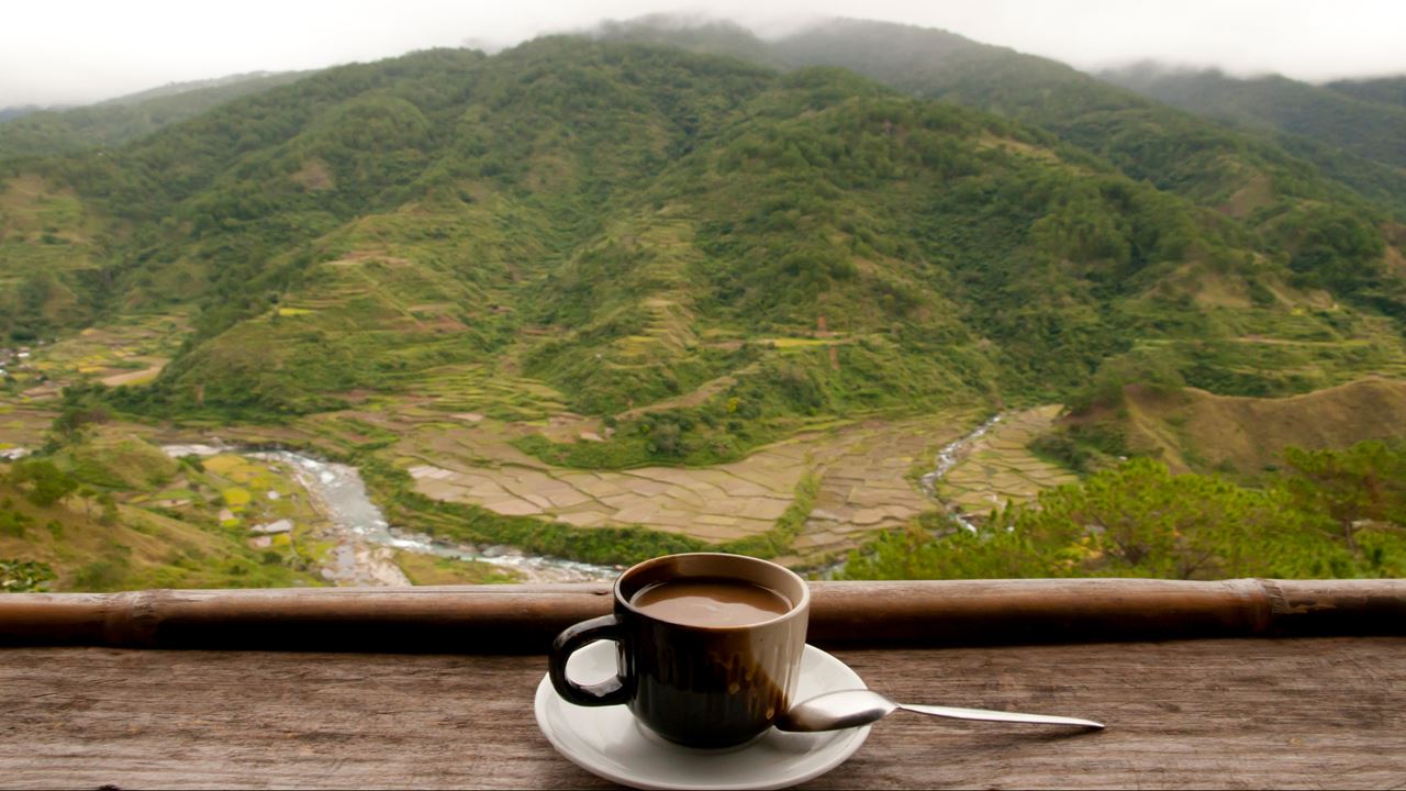 Experiência de café em Santander (5)