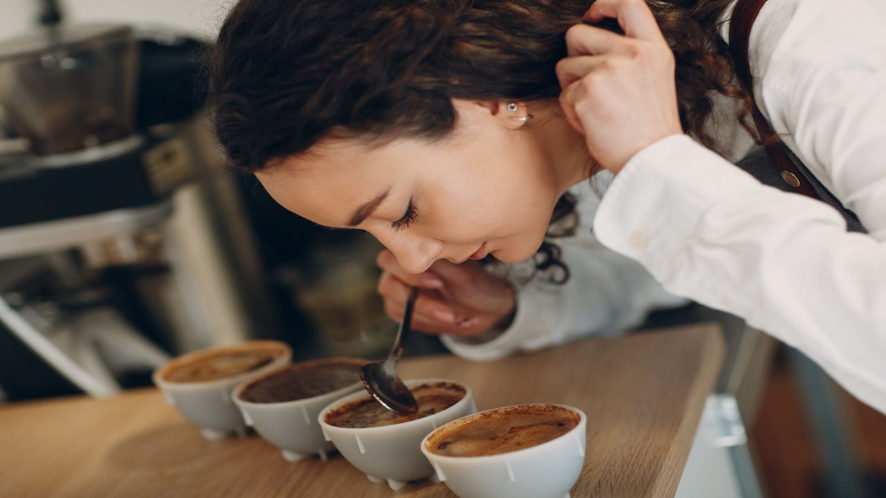 Experiência de café em Santander (8)