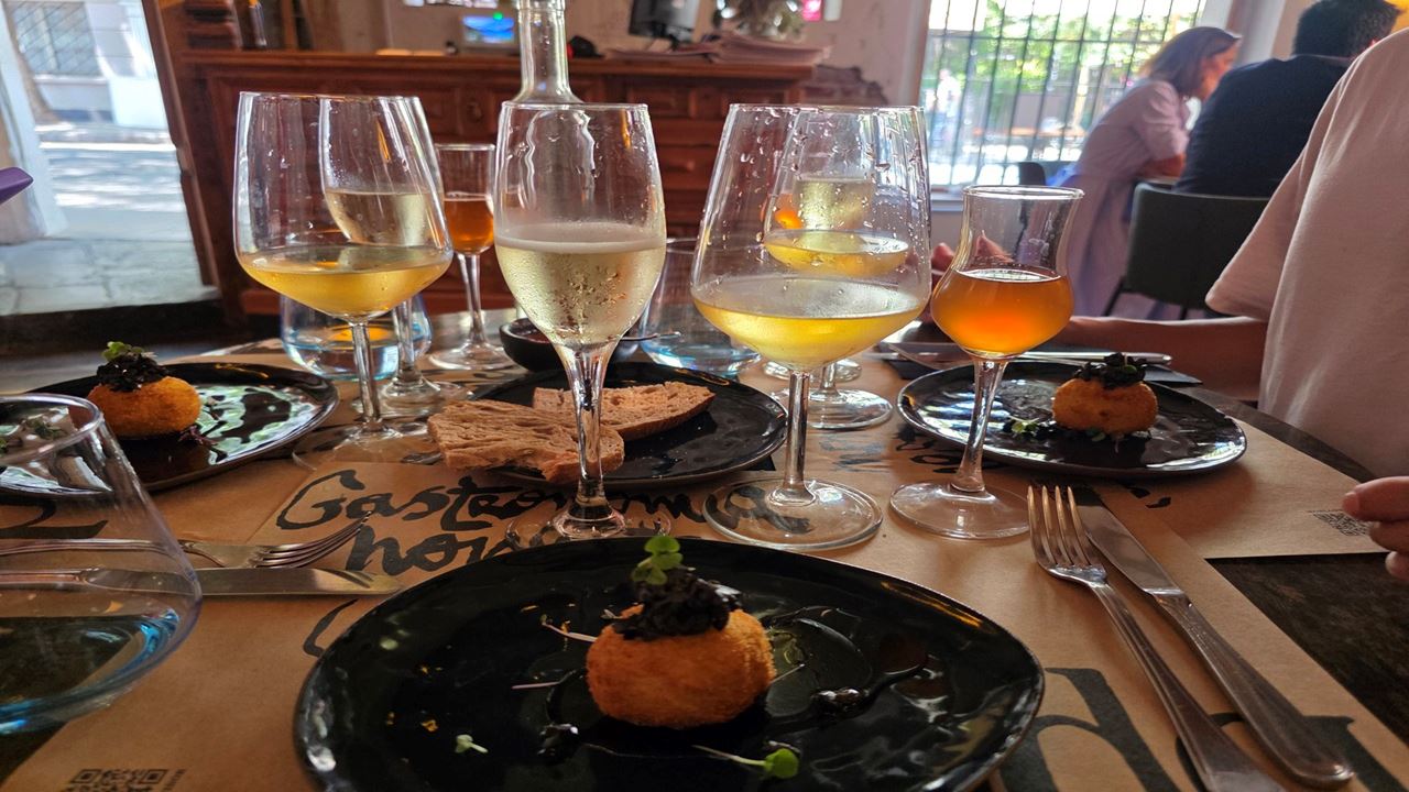 Experiencia Culinaria en Lastarria: Vinos, Historia y Sabores de Chile (5)