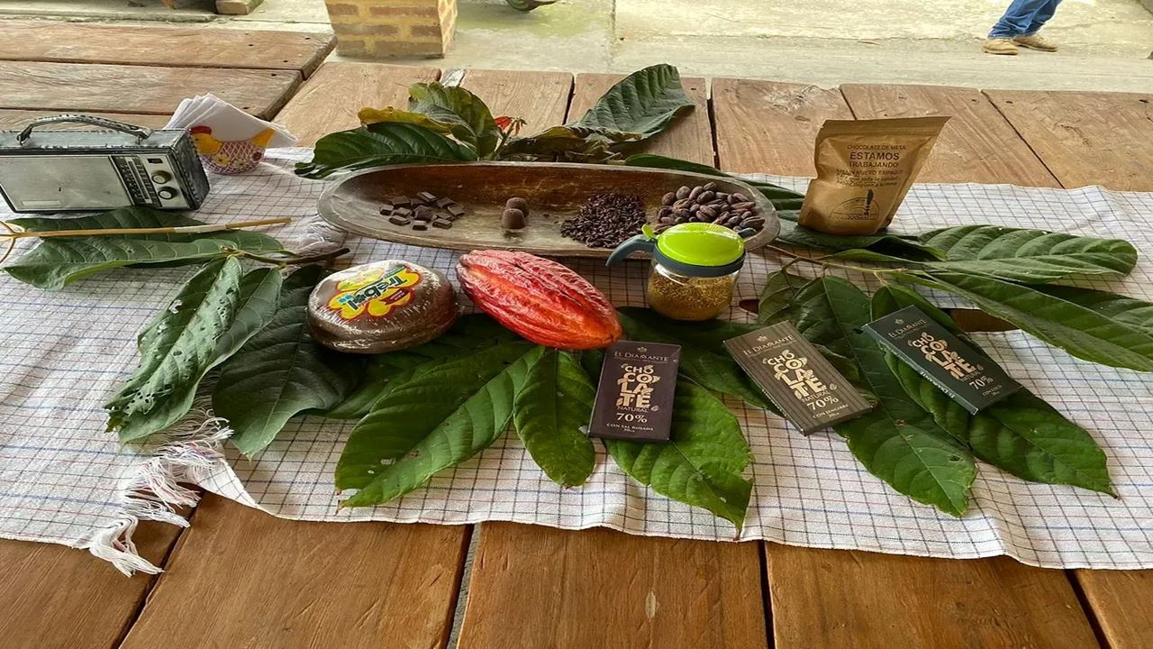 Artisanal Chocolate Experience In Quindío foto 2