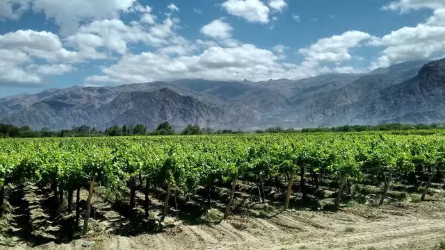 Expérience À Quilmes, Amaicha Et Tafi Del Valle