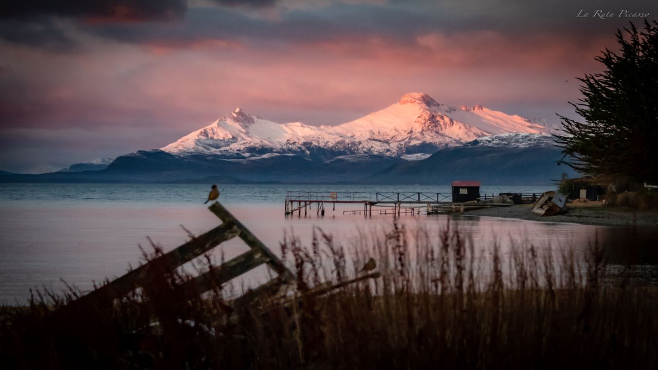 Experience at a Patagonian Ranch: Shearing and Roasting (3)