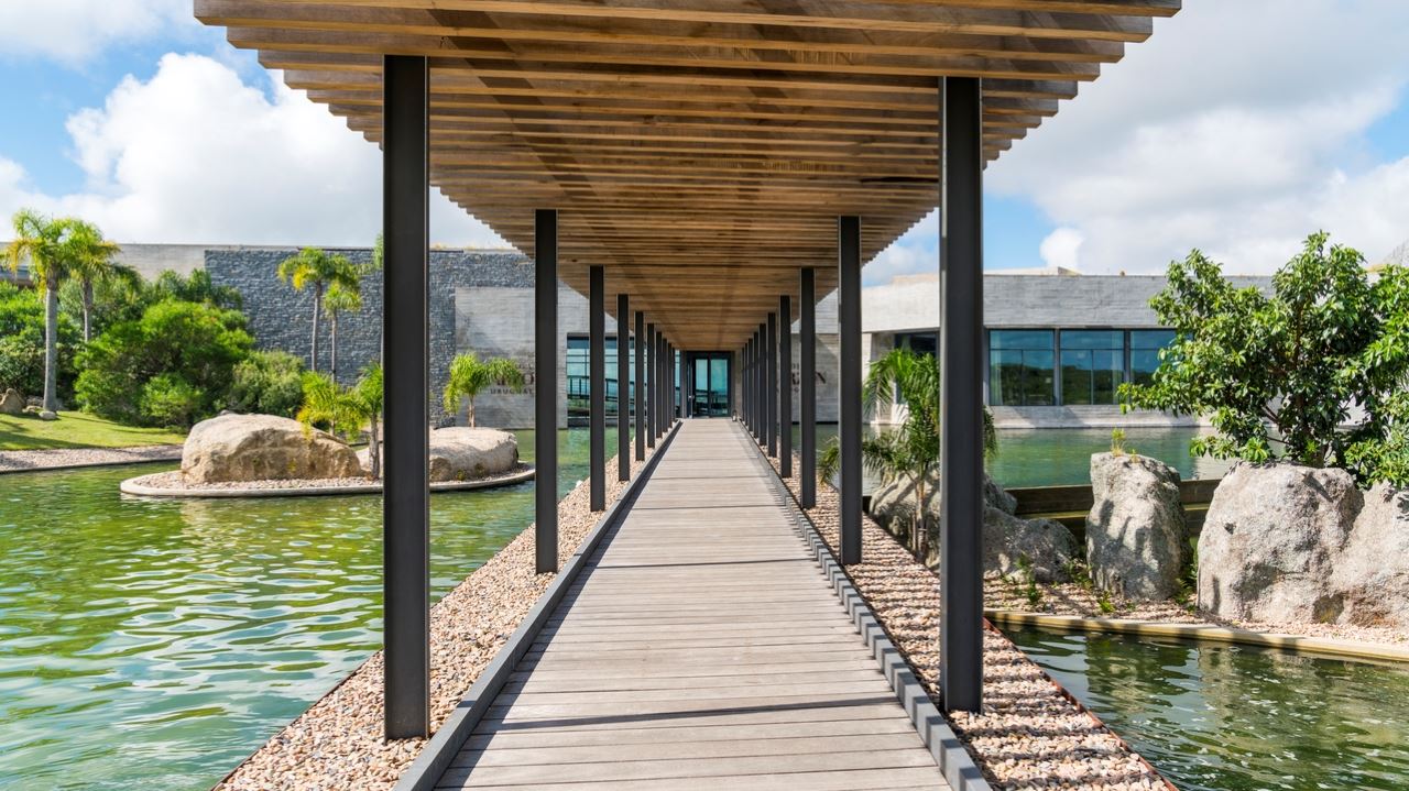 EXPERIENCIA PREMIUM EN BODEGA GARZÓN (3)