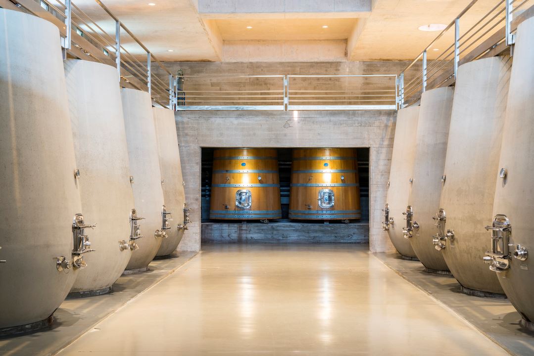 Visit and tasting at Garzón Winery (3)