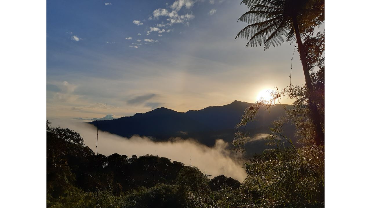 Explora el bosque nublado de Bellavista Full Day (6)