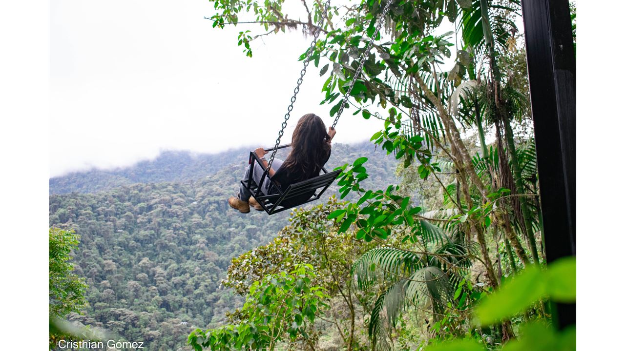 Explora el bosque nublado de Bellavista Full Day (10)