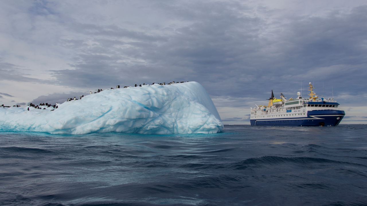 Classic Antarctica Air Cruise Exploration – 8 Days aboard the Ocean Nova (8)