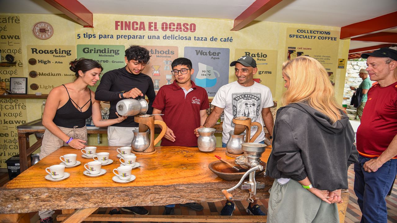 Finca El Ocaso: Tour De Café Com Jeep Willys, Colheita E Degustação De Café.
