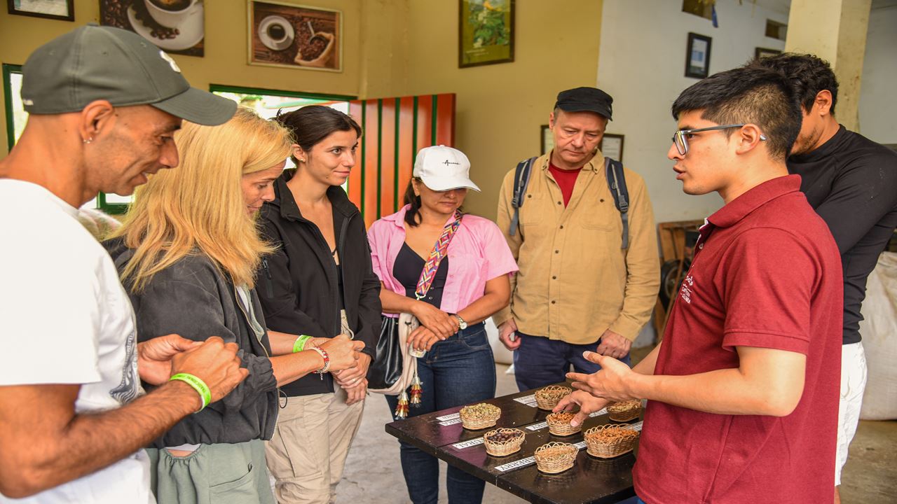 Finca El Ocaso: Tour de café com Jeep Willys, colheita e degustação de café.
 (12)
