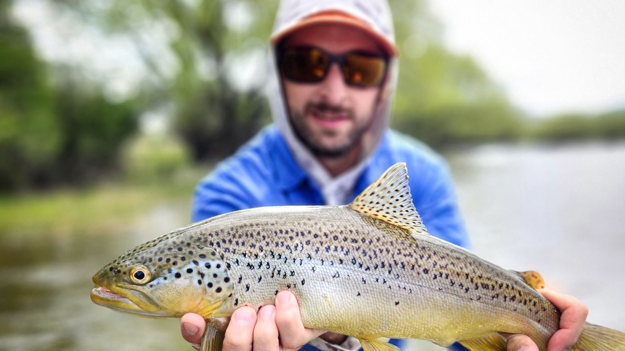PESCA CON MOSCA EN EL RIO LIMAY (2)