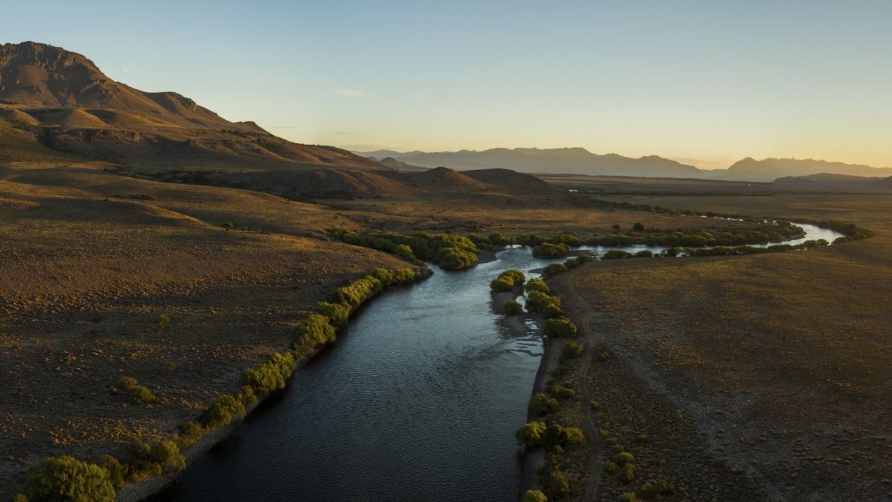 PESCA CON MOSCA EN EL RIO LIMAY (5)
