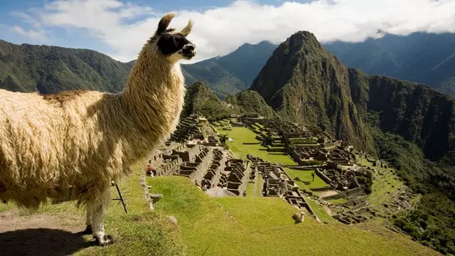 Tren A La Entrada De Machu Picchu Desde Poroy