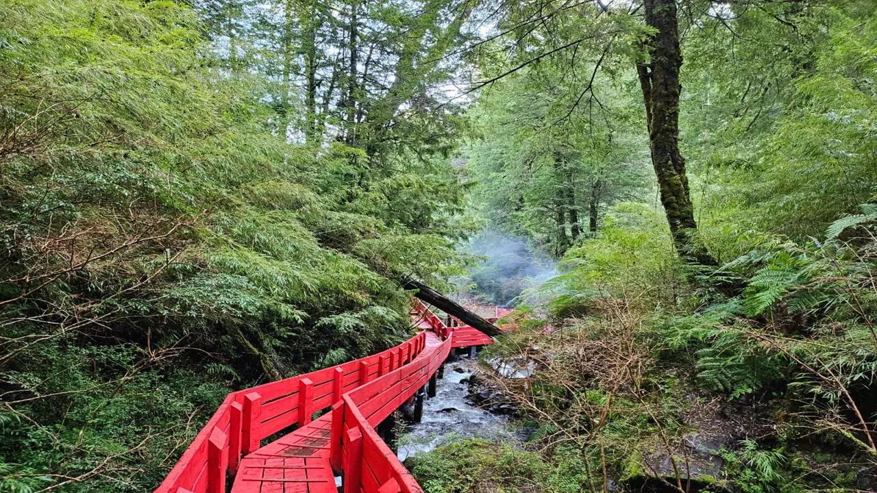 Full Day Geometric Hot Springs From Pucón.