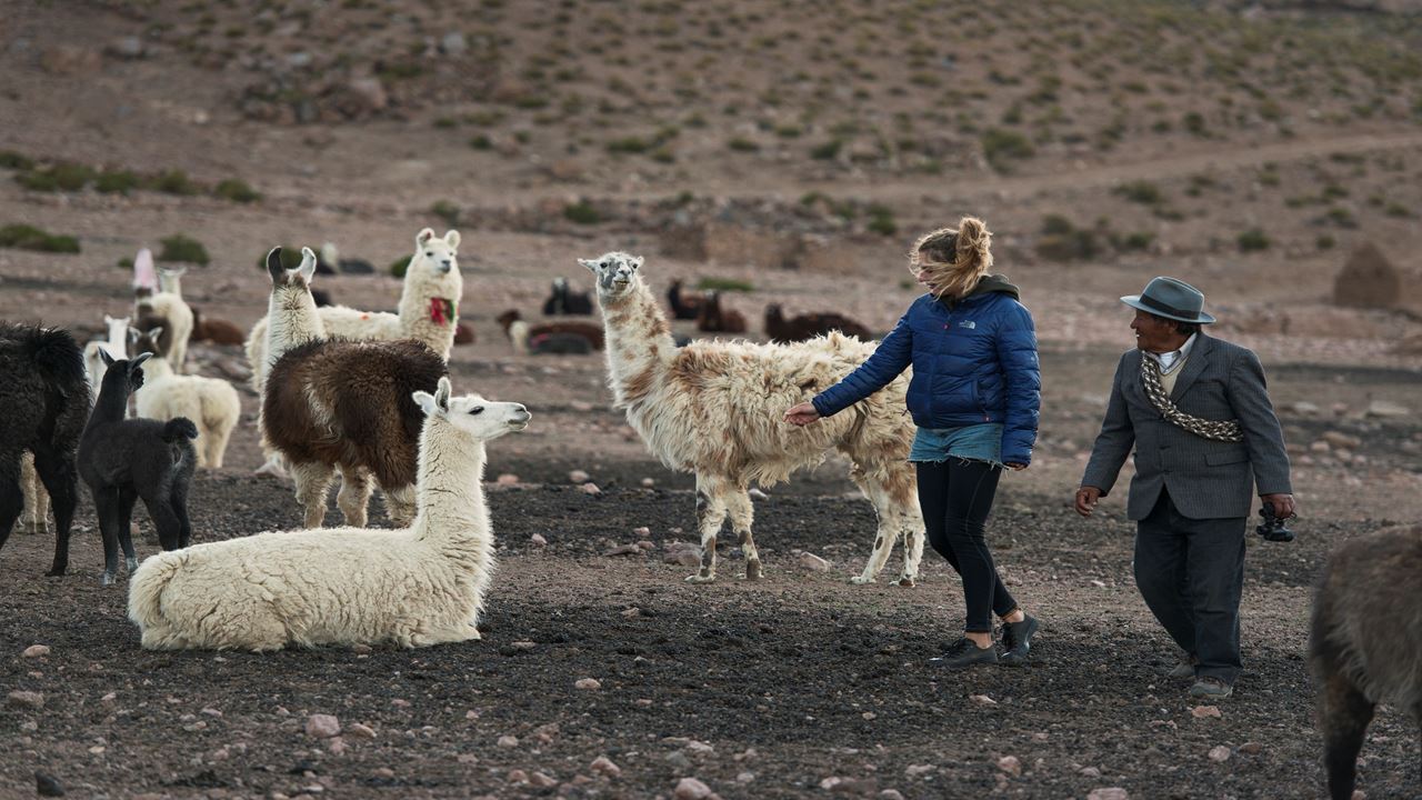 GEYSERS DE PUCHULDIZA Y RUTA ALTIPLANICA (4)