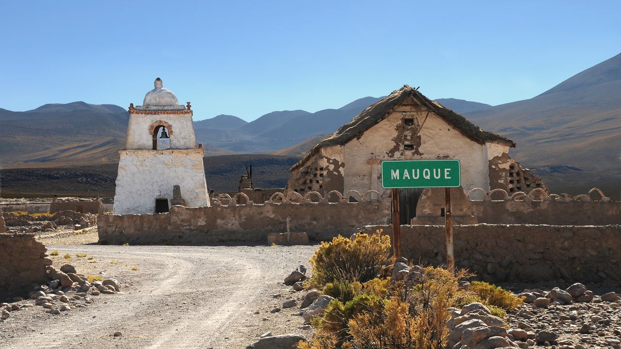 GEYSERS DE PUCHULDIZA Y RUTA ALTIPLANICA (5)