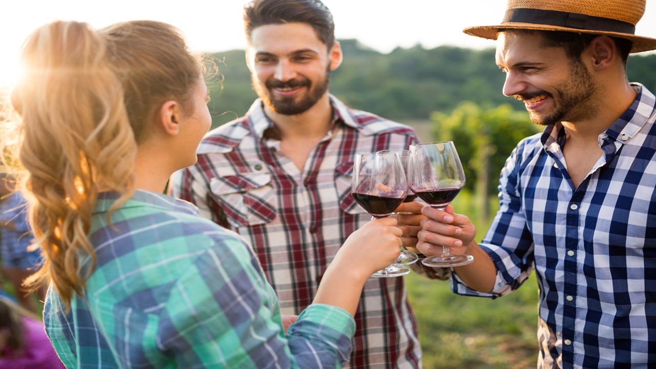 Hacienda Paraíso und die Weinstraße (7)