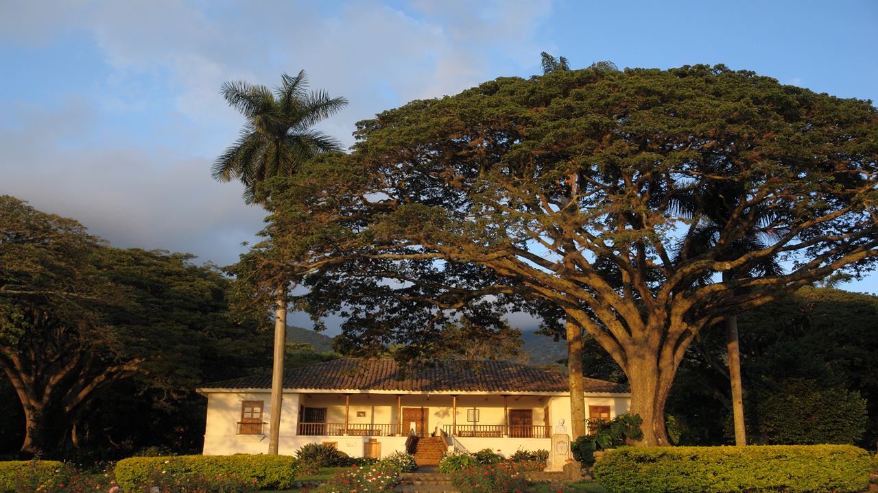 Passeio a Pé pelo Centro Histórico (5)