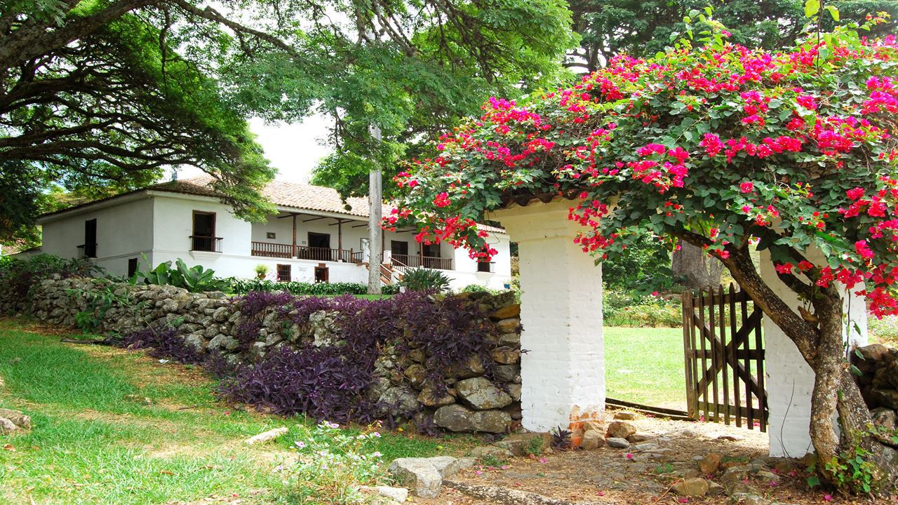 Passeio a Pé pelo Centro Histórico (6)