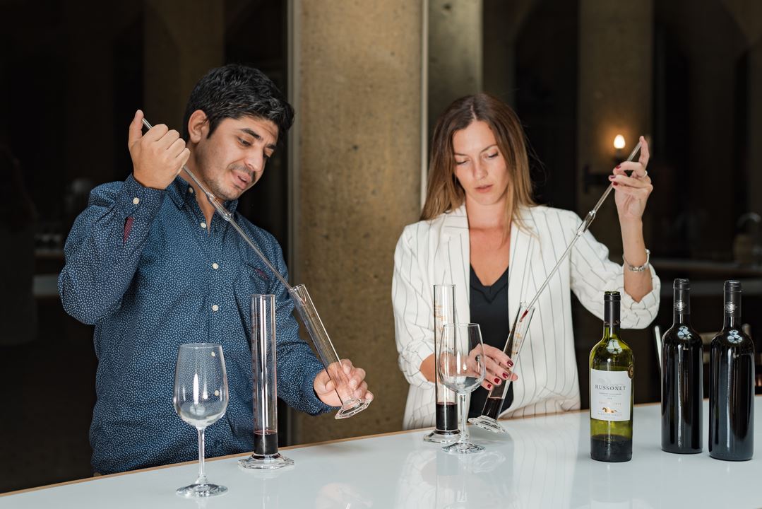 Haras de Pirque: Vinhedo orgânico e degustação de vinhos icônicos (7)