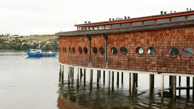 Tour De Dia Inteiro À Ilha Dalcahue E Quinchao