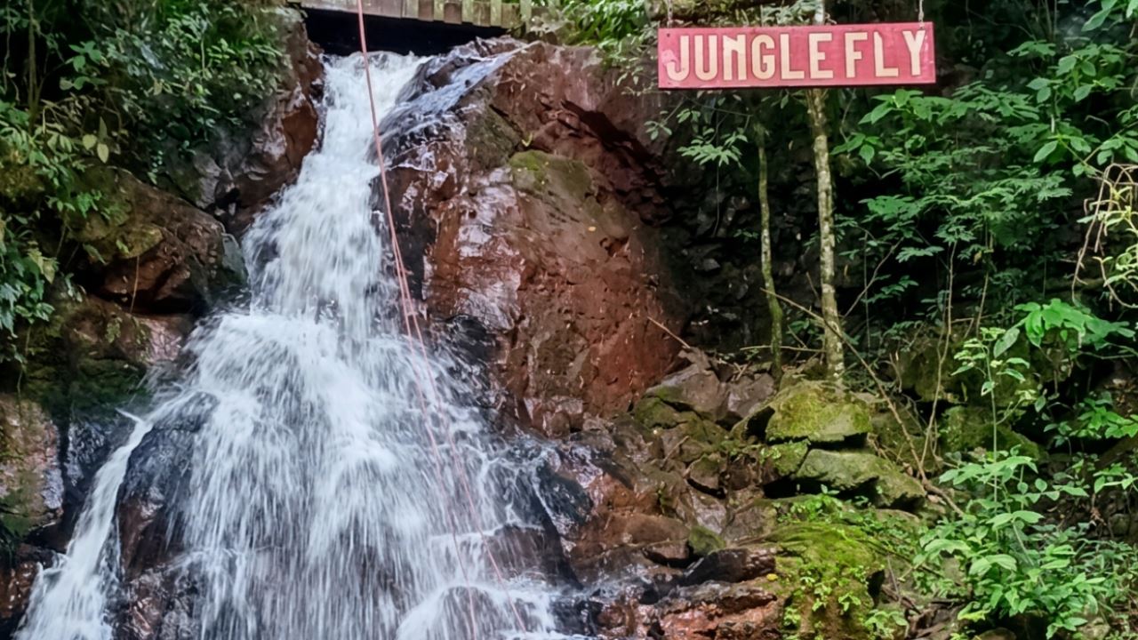 JUNGLE FLY ADVENTURE IN SMALL GROUPS (10)