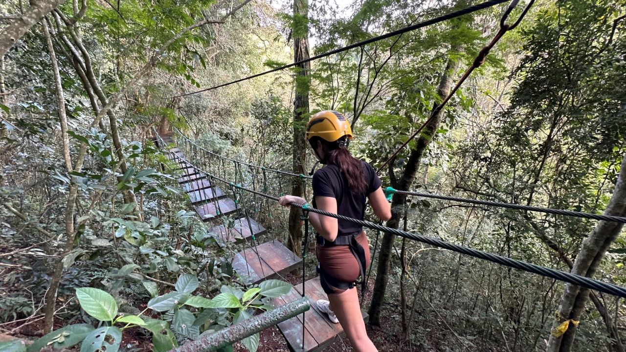 JUNGLE FLY ADVENTURE IN SMALL GROUPS (11)