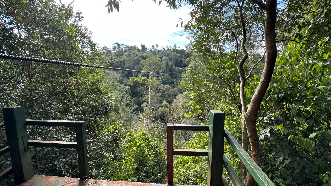 JUNGLE FLY ADVENTURE IN SMALL GROUPS (12)