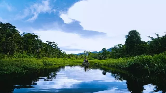 La Selva Del Manu De Cusco