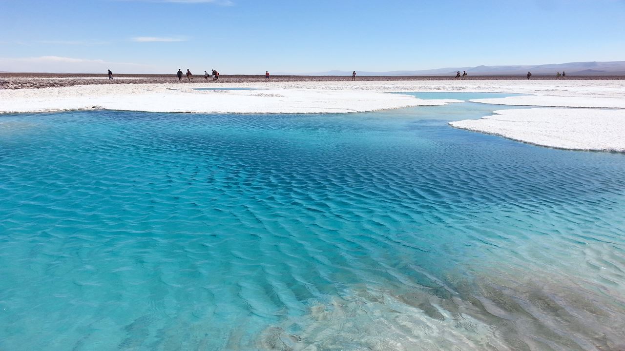 Closed For Conservation - Baltinache Lagoon Or Hidden Lagoons foto 6