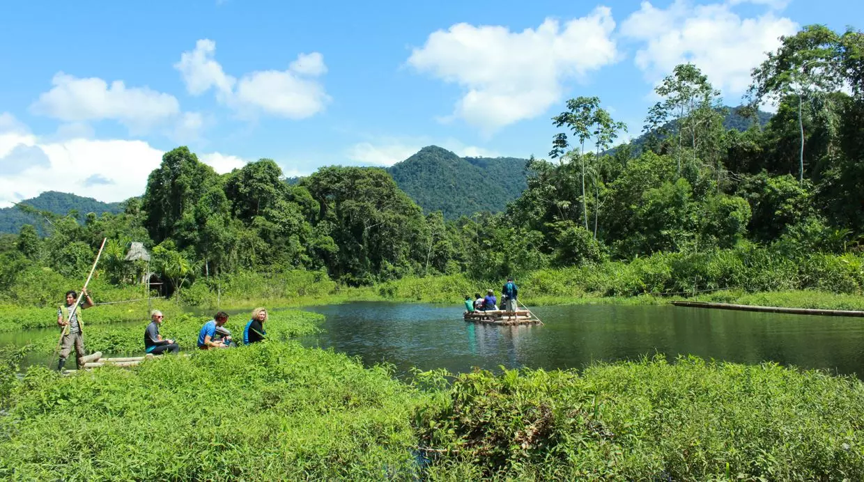 Lodge En La Selva Del Manu