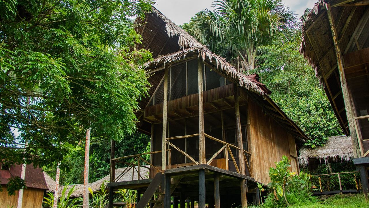 Pacaya Samiria National Reserve Lodge Tour in Iquitos, Peru | Book